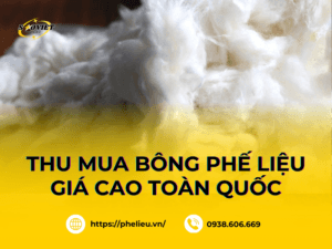 Bông phế liệu được thu mua với giá cao