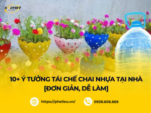 Tái chế chai nhựa thành những đồ vật dễ thương ý nghĩa rất dễ