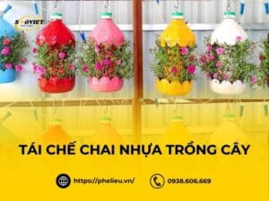15+ ý tưởng sáng tạo & hướng dẫn chi tiết cách tái chế chai nhựa trồng cây
