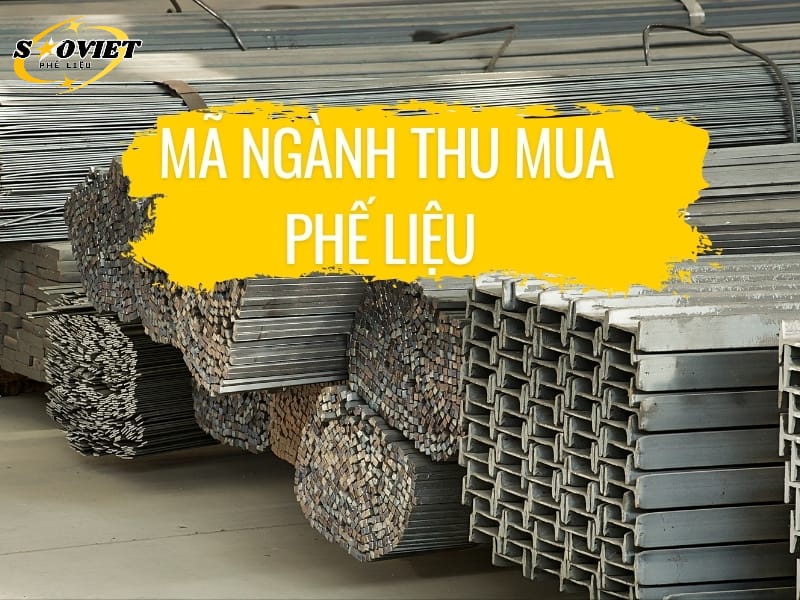 “Hệ thống ngành kinh tế Việt Nam" mã ngành thu mua phế liệu là 46697.
