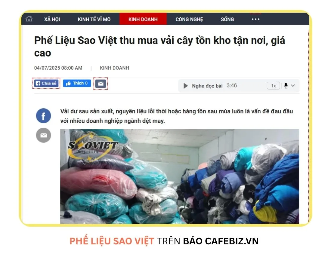 Phế liệu Sao Việt trên báo CafeBiz