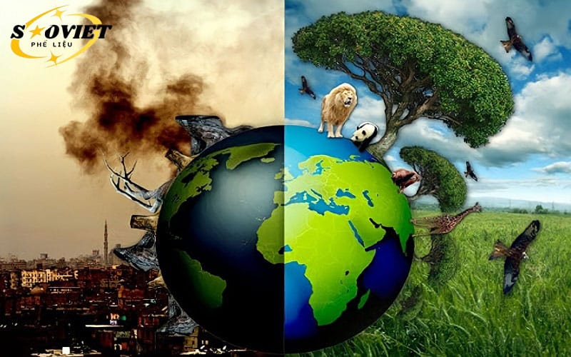 Sự kiện ngày 22/4 là lời kêu gọi mạnh mẽ trên toàn cầu về việc bảo vệ môi trường sống 