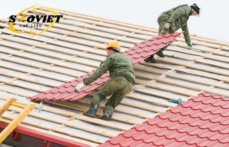 Tôn giả ngói ngày càng được ưa chuộng