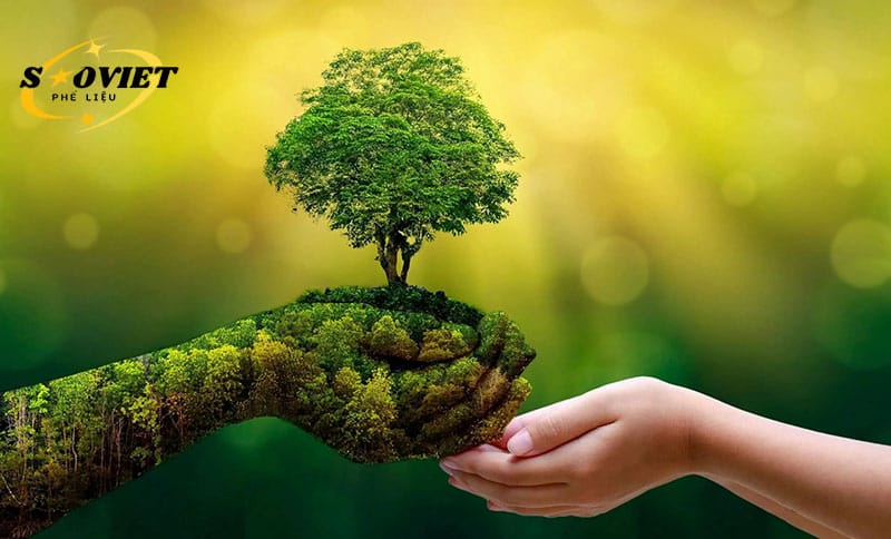 Trồng cây hôm nay, hít khí lành mai sau