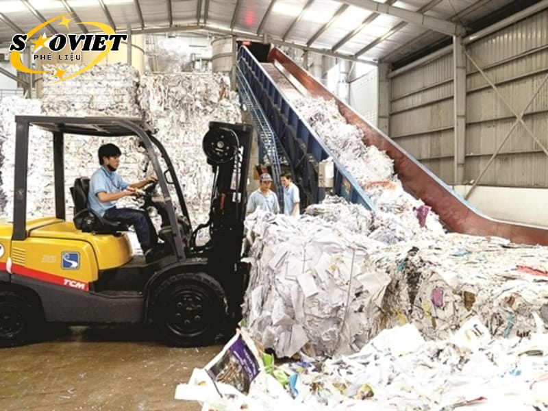 Mỗi hệ thống máy thường được tối ưu để xử lý các loại nhựa cụ thể như nhựa phế liệu PP hay nhựa PE phế liệu.