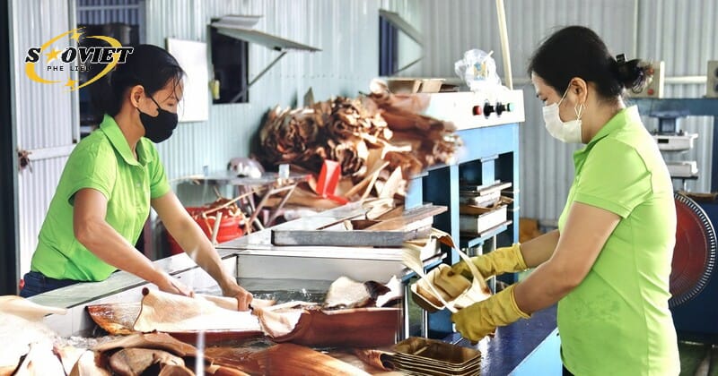 Hoạt động thu mua phế liệu thực tế