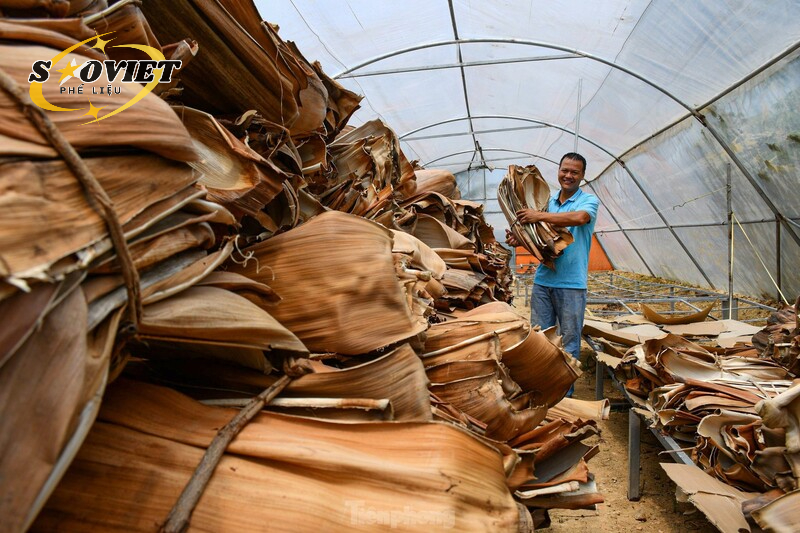 Phân loại phế liệu ngay tại hiện trường