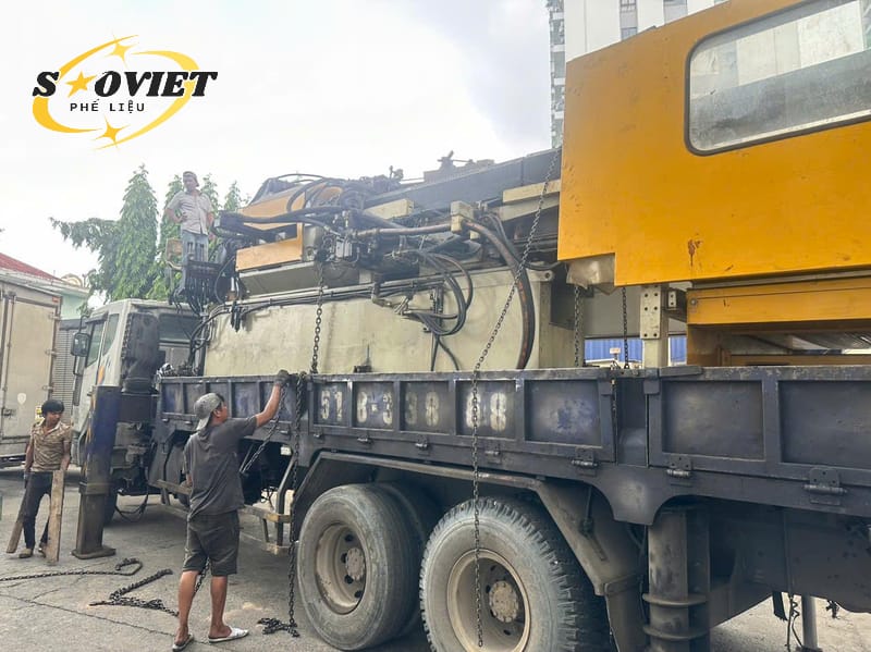 Thu mua số lượng lớn giá cạnh tranh