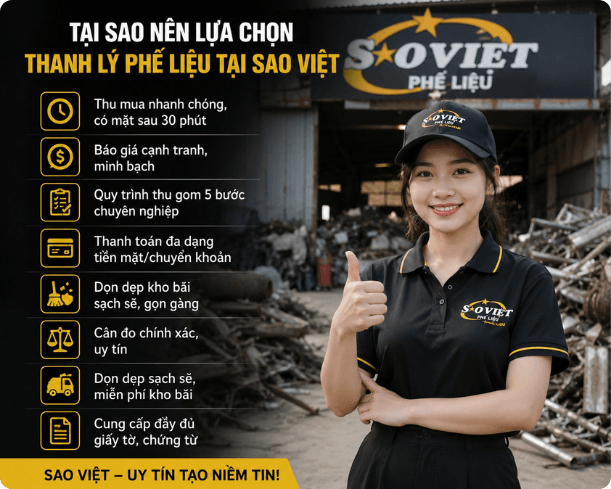 Phế Liệu Sao Việt 9
